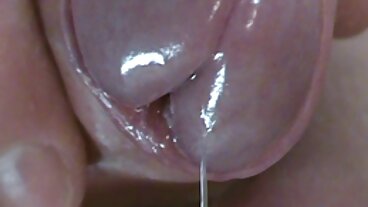 Amanda seducente prende il cazzo in belle gnocche nude entrambi i buchi dolci